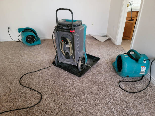 Best Flood damage cleanup  in St Peters, MO