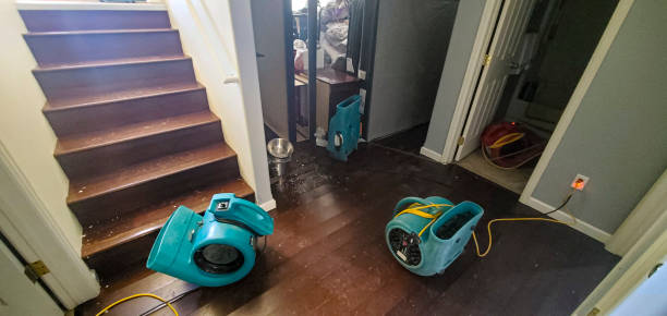Best Water damage repair service  in St Peters, MO