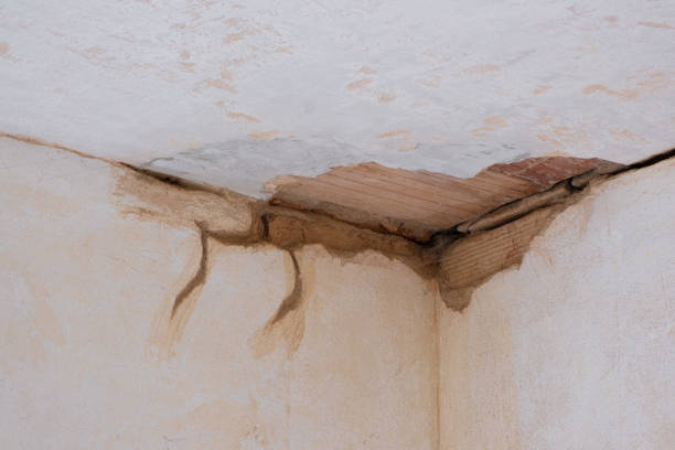 Best Carpet water damage restoration  in St Peters, MO