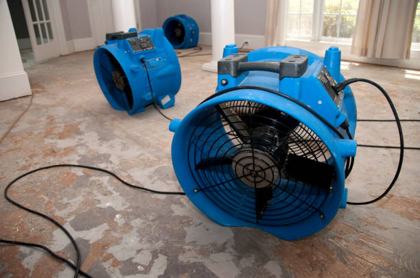 Best Water damage restoration experts  in St Peters, MO