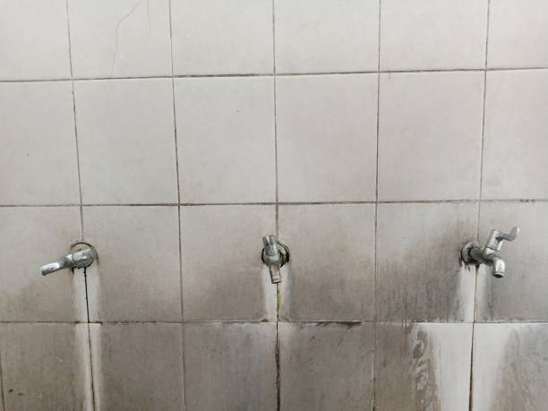 Best Flood damage cleanup  in St Peters, MO