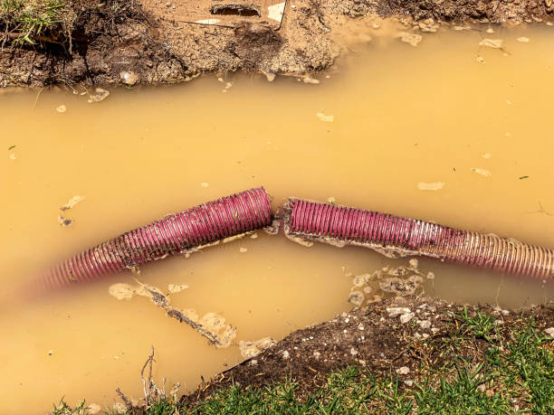 Carpet water damage restoration in St Peters, MO